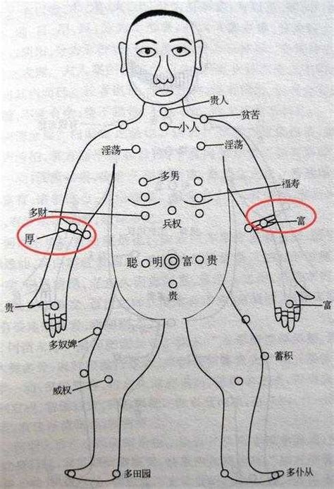 右上臂有痣|痣的位置透露出這些訊息！上手臂有痣不乏追求者、手。